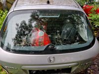 Honda Civic 2001 - Auto varaosat